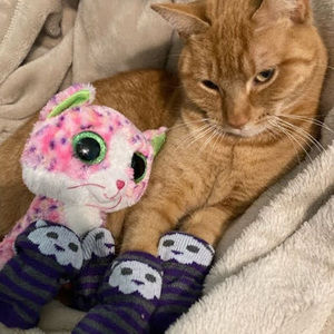 Meet your Posher, Megan